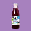 Χυμός Δαμάσκηνου Χωρίς Προσθήκη Ζάχαρης (750ml) Bjorg