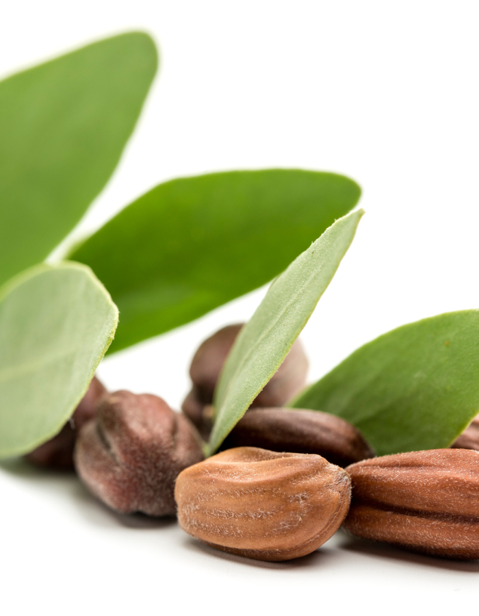 Σαμπουάν με Jojoba για Κανονικά Μαλλιά (400ml) Faith in Nature
