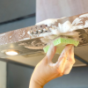 Οικολογικό Σφουγγάρι Πιάτων Eco Sponge (2τμχ) Sonett