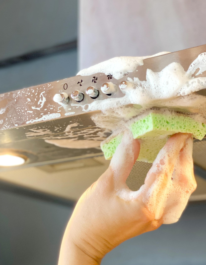 Οικολογικό Σφουγγάρι Πιάτων Eco Sponge (2τμχ) Sonett