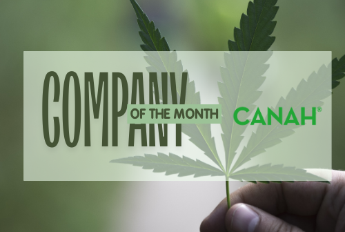 Company of the Month: Canah