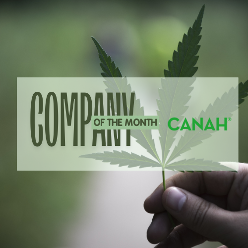 Company of the Month: Canah