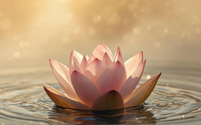 Mindfulness στην Καθημερινότητα: Ένας απλός οδηγός για αρχάριους