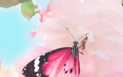 Spring Rituals: Μικρές συνήθειες που αλλάζουν την καθημερινότητά σου