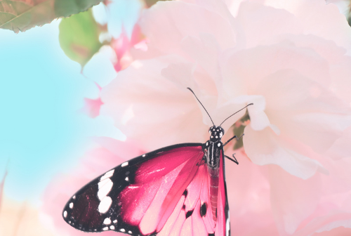 Spring Rituals: Μικρές συνήθειες που αλλάζουν την καθημερινότητά σου