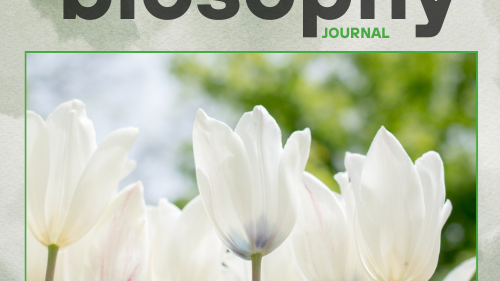 Journal - Issue #1 - Απρίλιος 25
