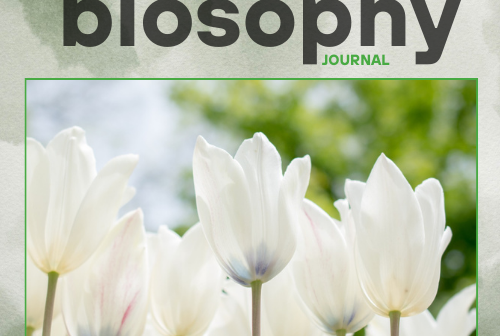 Journal - Issue #1 - Απρίλιος 25