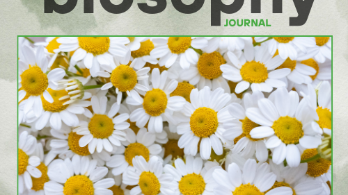 Journal - Issue #2 - Μάιος 25
