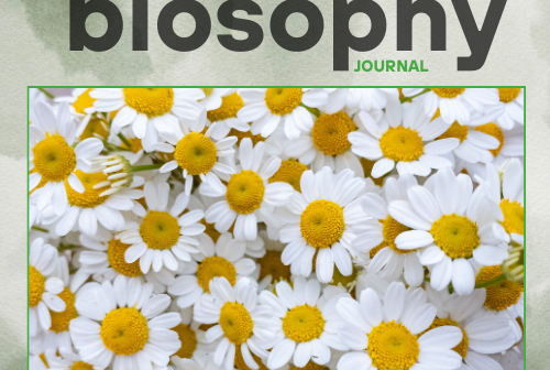 Journal - Issue #2 - Μάιος 25