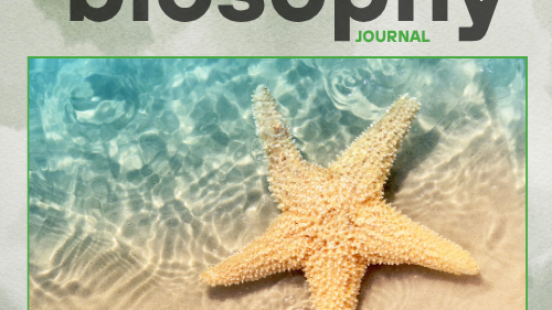 Journal - Issue #3 - Ιούνιος 25