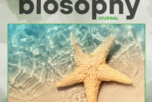 Journal - Issue #3 - Ιούνιος 25