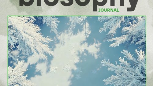 Journal - Issue #10 - Ιανουάριος