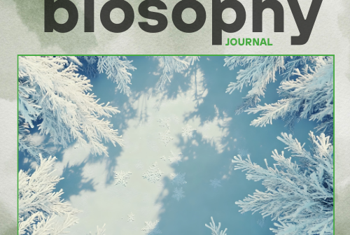 Journal - Issue #10 - Ιανουάριος