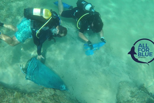 All for Blue ♥ Δωρεά με κάθε Αγορά
