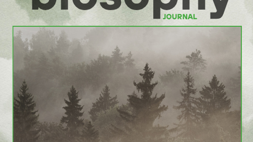 Journal - Issue #8 - Νοέμβριος