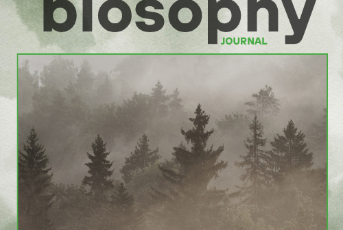 Journal - Issue #8 - Νοέμβριος