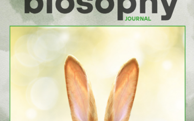 Journal - Issue #13 Απρίλιος