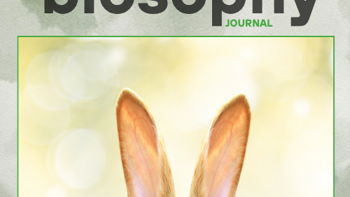 Journal - Issue #13 Απρίλιος