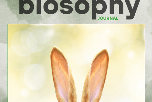 Journal - Issue #13 Απρίλιος