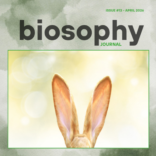 Journal - Issue #13 Απρίλιος