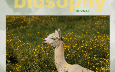 Journal - Issue #14 Μάιος
