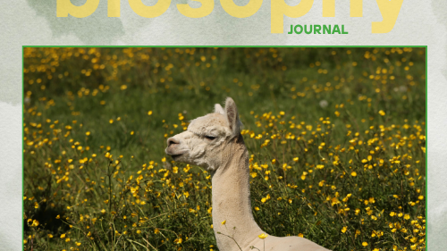 Journal - Issue #14 Μάιος