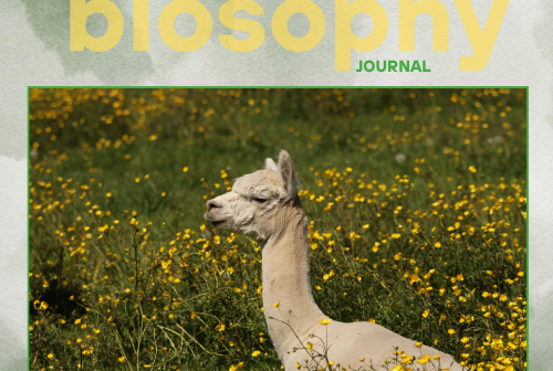 Journal - Issue #14 Μάιος