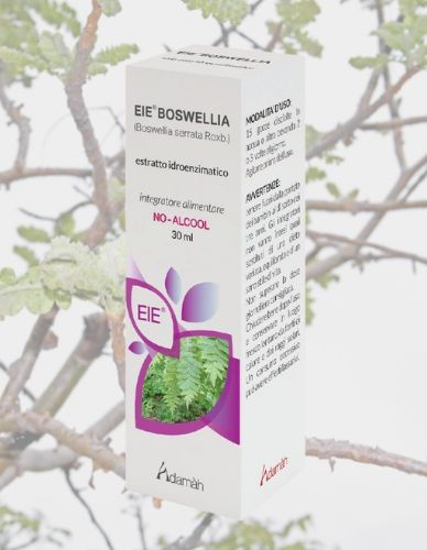 EIE Boswellia για Ρευματικές παθήσεις & Ψωρίαση (30ml) Adamah