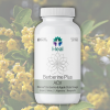 Βερβερίνη σε κάψουλες 'Berberine Plus ACV' (60καψ) Heal