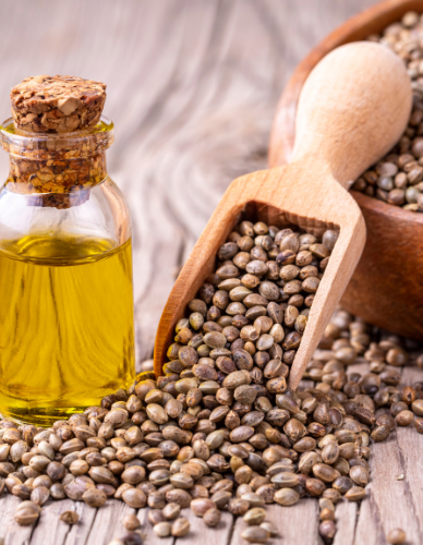 Έλαιο Κάνναβης (100ml) BioSamos
