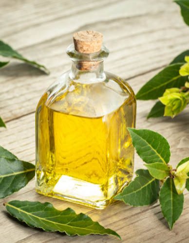 Δαφνέλαιο (100ml) BioSamos