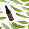 Αιθέριο Έλαιο Λουίζα (10ml) BioSamos