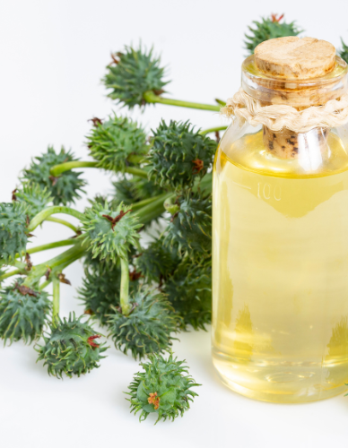  Καστορέλαιο (100ml) Βιολογικό  BioSamos