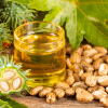  Καστορέλαιο (100ml) Βιολογικό  BioSamos