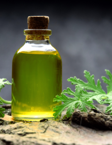 Αιθέριο Έλαιο Σιτρονέλα (10ml) BioSamos