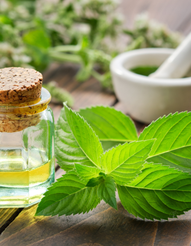Αιθέριο Έλαιο Μέντας (10ml) BioSamos