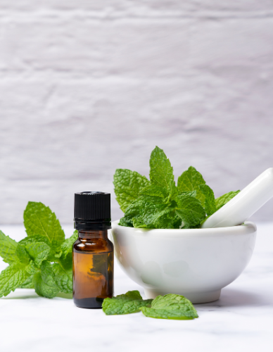 Αιθέριο Έλαιο Μέντας (10ml) BioSamos