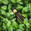 Αιθέριο Έλαιο Δυόσμος (10ml) BioSamos