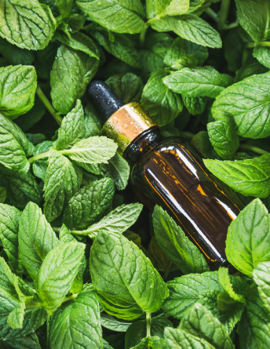 Αιθέριο Έλαιο Δυόσμος (10ml) BioSamos