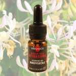 Αιθέριο Έλαιο Αγιόκλημα (10ml) BioSamos