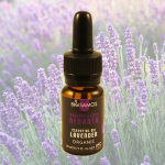 Αιθέριο Έλαιο Λεβάντα (10ml) BioSamos