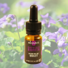 Αιθέριο Έλαιο Βιολέτα (10ml) BioSamos