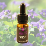 Αιθέριο Έλαιο Βιολέτα (10ml) BioSamos