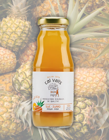 Χυμός Ανανάς (200ml) Cal Valls