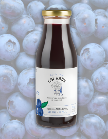 Χυμός Μύρτιλλο (500ml) Cal Valls