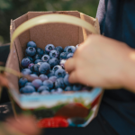 Χυμός Μύρτιλλο (500ml) Cal Valls