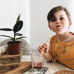 Καλαμάκια από Βιολογικό Μπαμπού (Σετ των 6) Jungle Straws