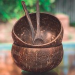 2 Μπολ Καρύδας με ΔΩΡΟ Ξύλινα Κουτάλια (Σχέδιο Φύλλα) Jungle Straws