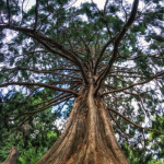 Αφρόλουτρο Ανδρικό Μπλέ Κ΄έδρος (400ml) Faith In Nature Αφρόλουτρο Ανδρικό Μπλέ Κ΄έδρος (400ml) Faith In Nature