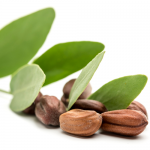 Σαμπουάν λείανσης για ξηρά μαλλιά με έλαιο Jojoba (400 ml) Faith In Nature Σαμπουάν λείανσης για ξηρά μαλλιά με έλαιο Jojoba (400 ml) Faith In Nature